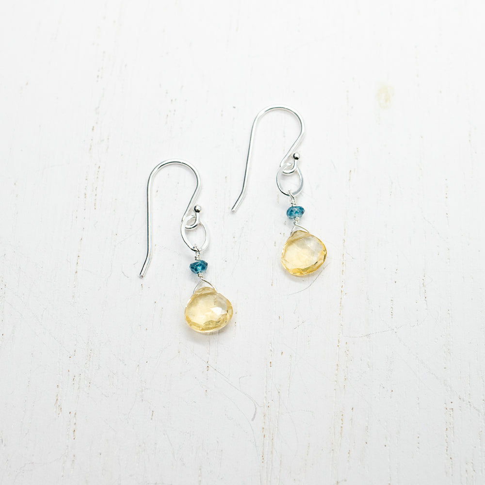 November Birthstone Silver Earrings