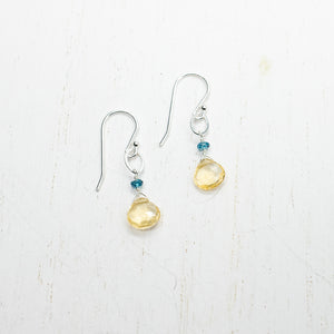 November Birthstone Silver Earrings