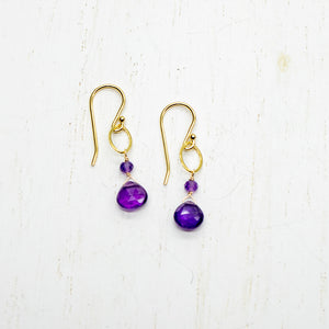 
                
                    Load image into Gallery viewer, February Birthstone Gold Earrings
                
            