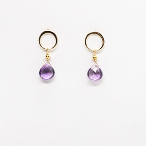 
                
                    Load image into Gallery viewer, Amethyst Luna Gold Earrings
                
            